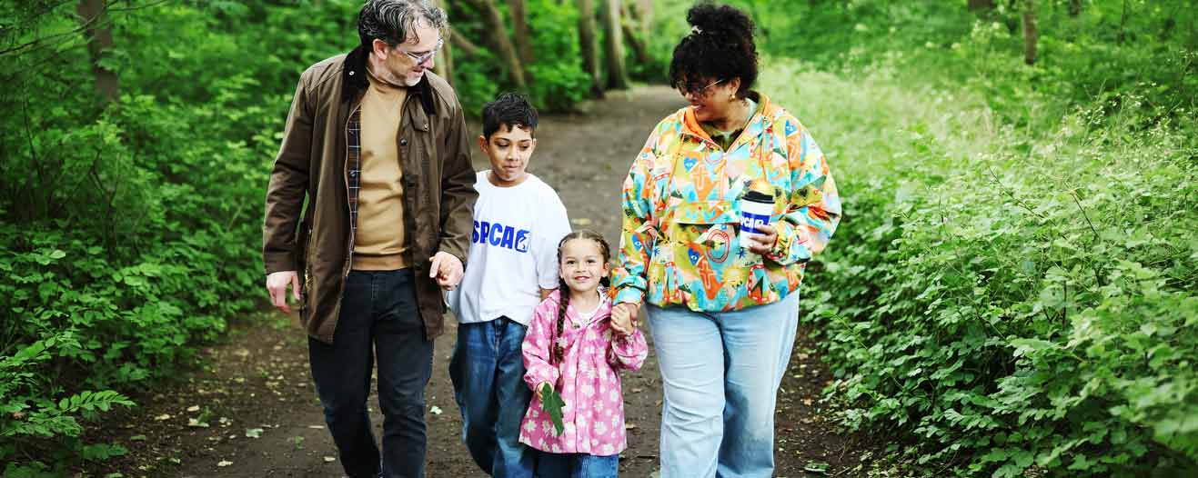 A family of four walking on a path in the woods.