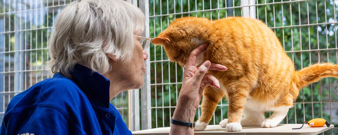 An older woman in a blue uniform affectionately stroking a ginger tabby cat inside a wire enclosure.