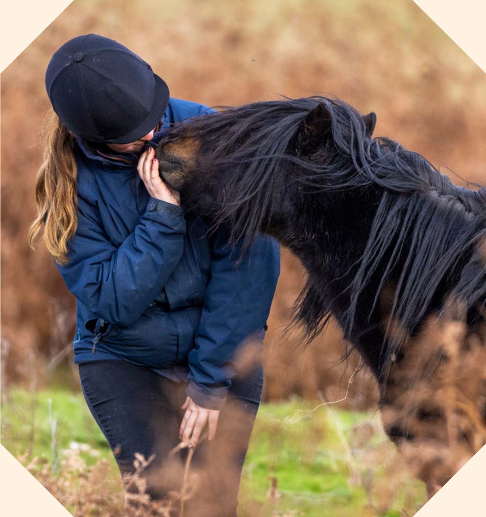 A small black and chestnut horse next to their owner who is wearing a riding hat.