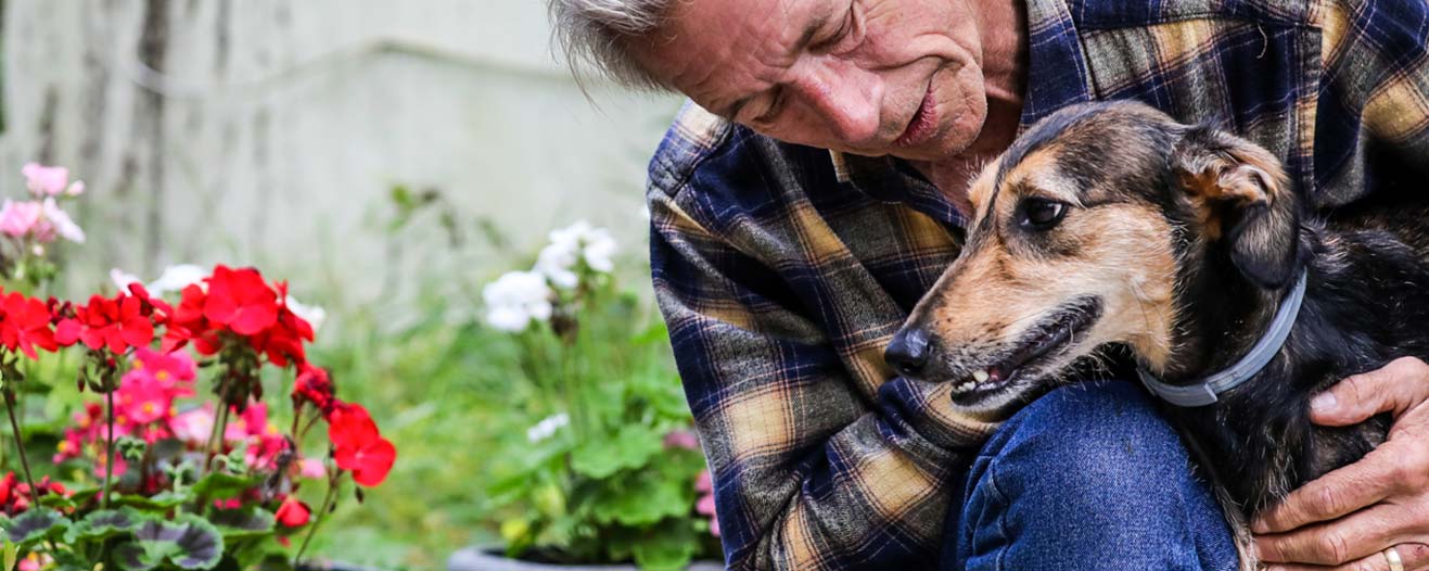 A person affectionately hugging a black and tan dog in a garden with red flowers.