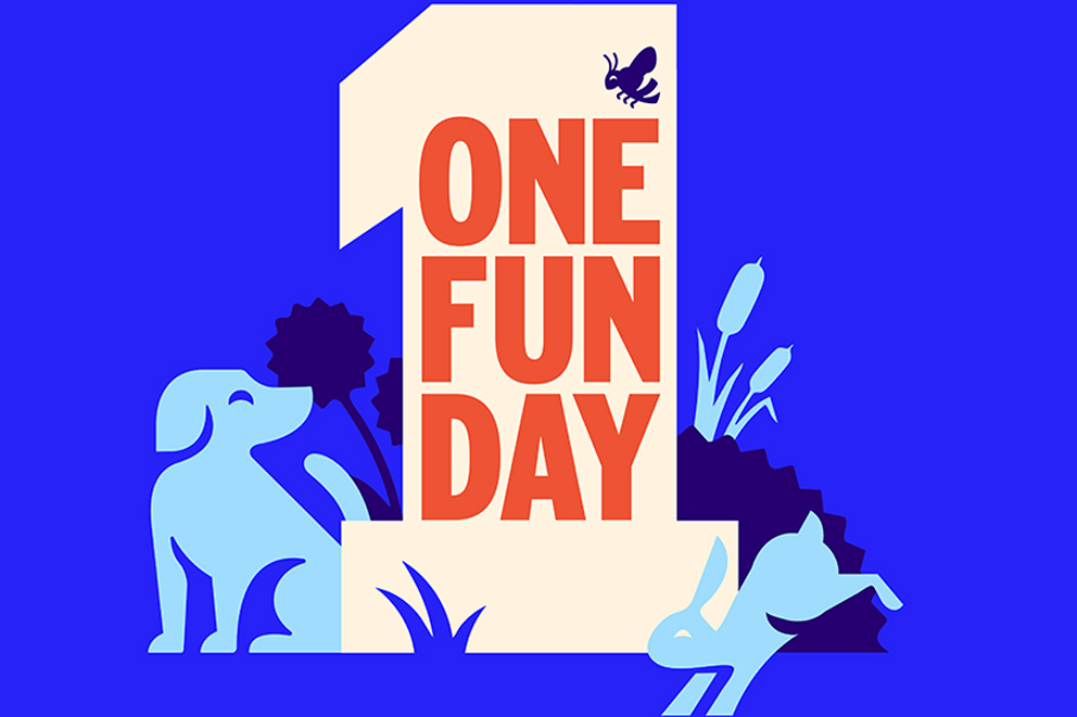 One Fun Day